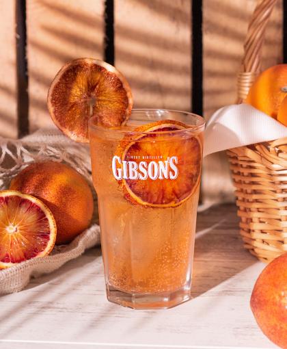 GIBSON'S Blood Orange Ginger Ale