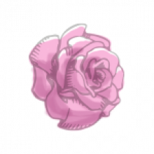 Pétale de rose