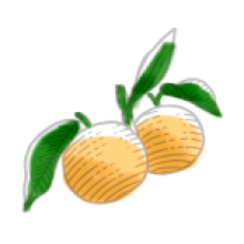 GIBSON'S Botanique orange 