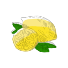 GIBSON'S Botanique citron 