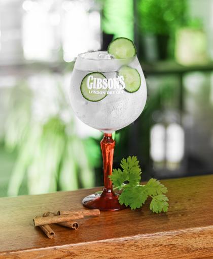 Visuel cocktail GIBSON'S Botanical Tonic 